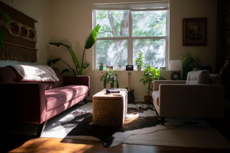 Transform Your Living Space with SereneRoomz Unique Decor