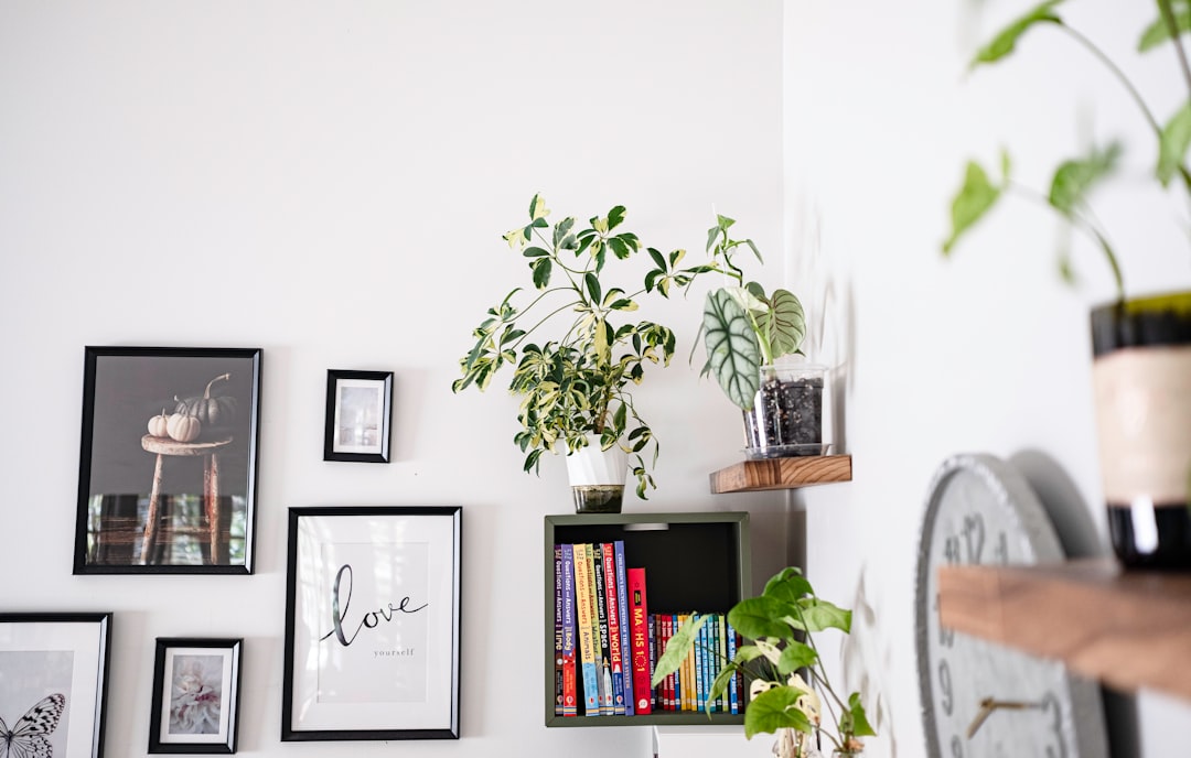 A Beginner’s Guide to Minimalist Home Decor Essentials A Beginner’s Guide to Minimalist Home Decor Essentials